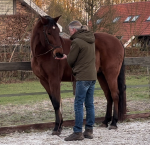 voerbeloning